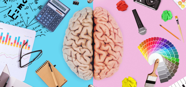 right brain vs left brain 2025 updated